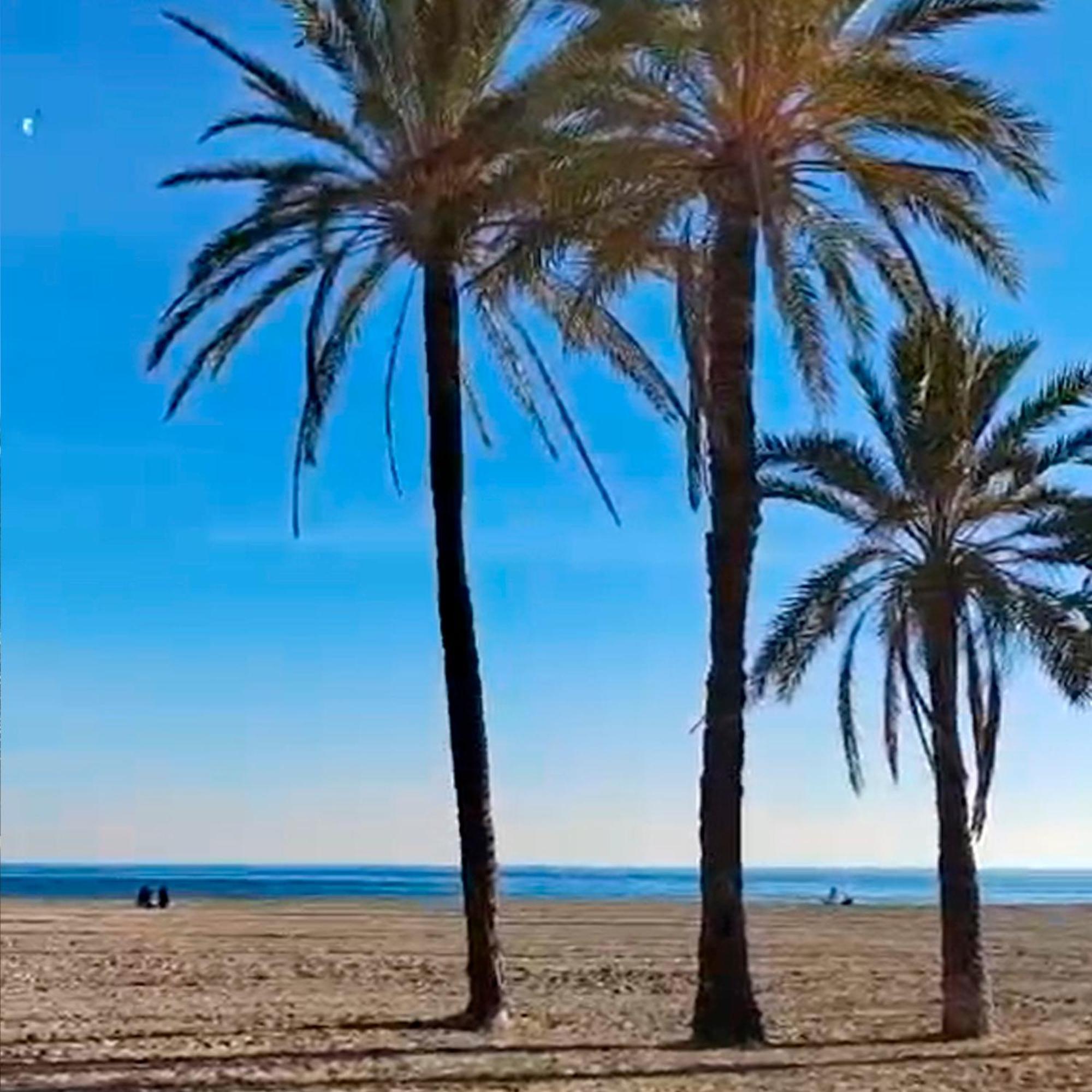 Apartamento Santa Pola Primera Linea De Playa Eksteriør bilde